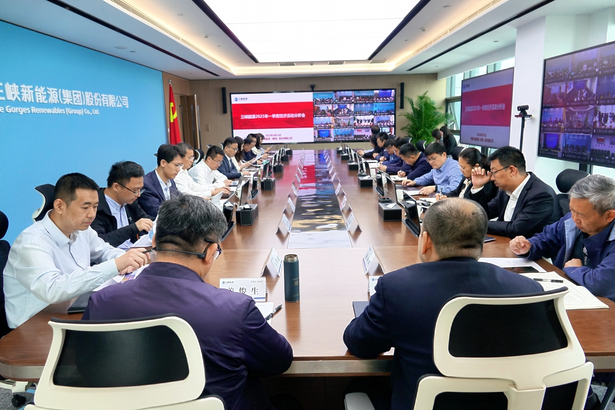 三峽能源召開(kāi)2025年一季度經(jīng)濟(jì)活動(dòng)分析會(huì)